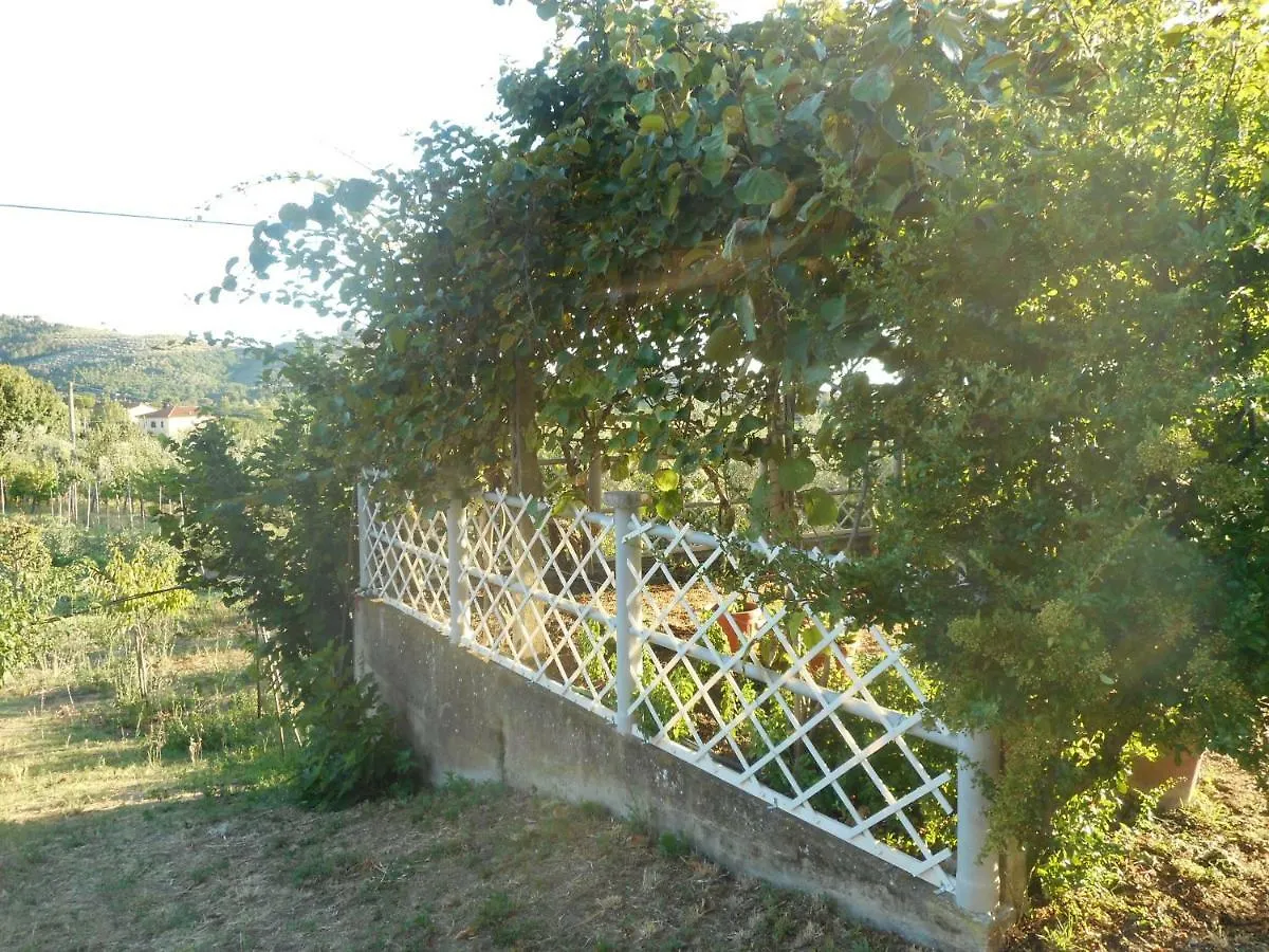 Ferienwohnung Poggio Fiorito Castiglion Fiorentino